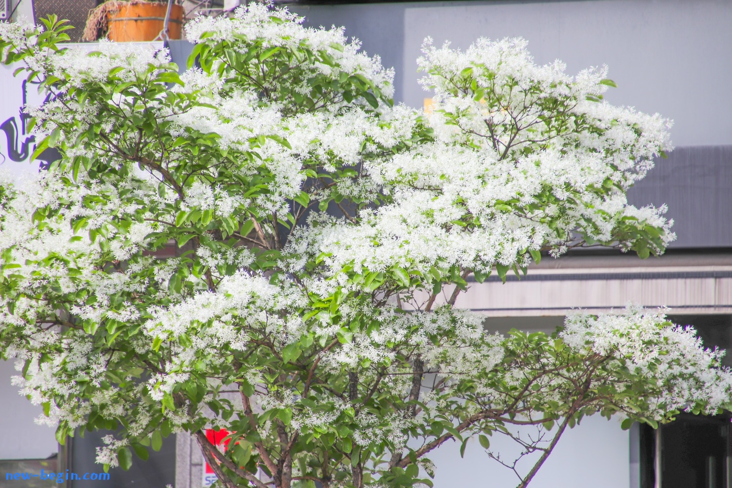 F2D166BA-6F12-46E3-8952-F11B32C81B00.jpeg