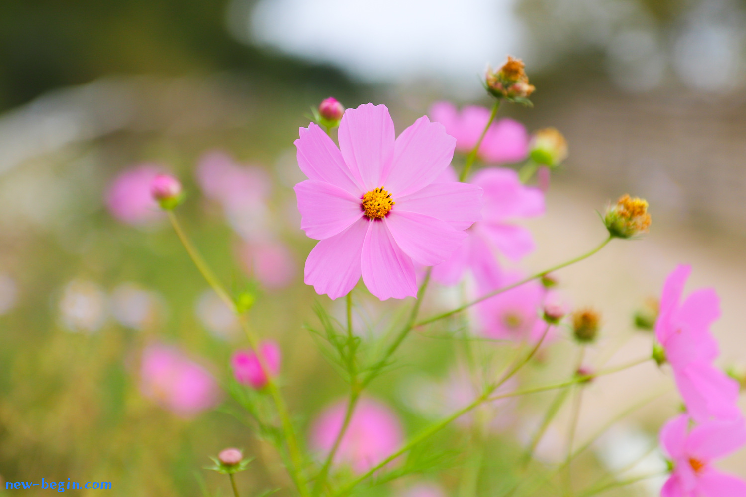 D71767C3-F4B8-445E-BA91-A659543313AB.jpeg