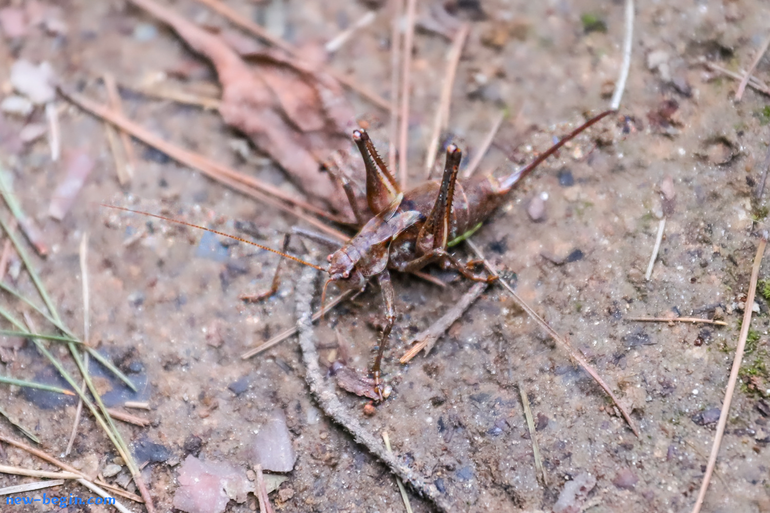 C584EE57-68AB-4074-AC29-2FFCB56DC571.jpeg