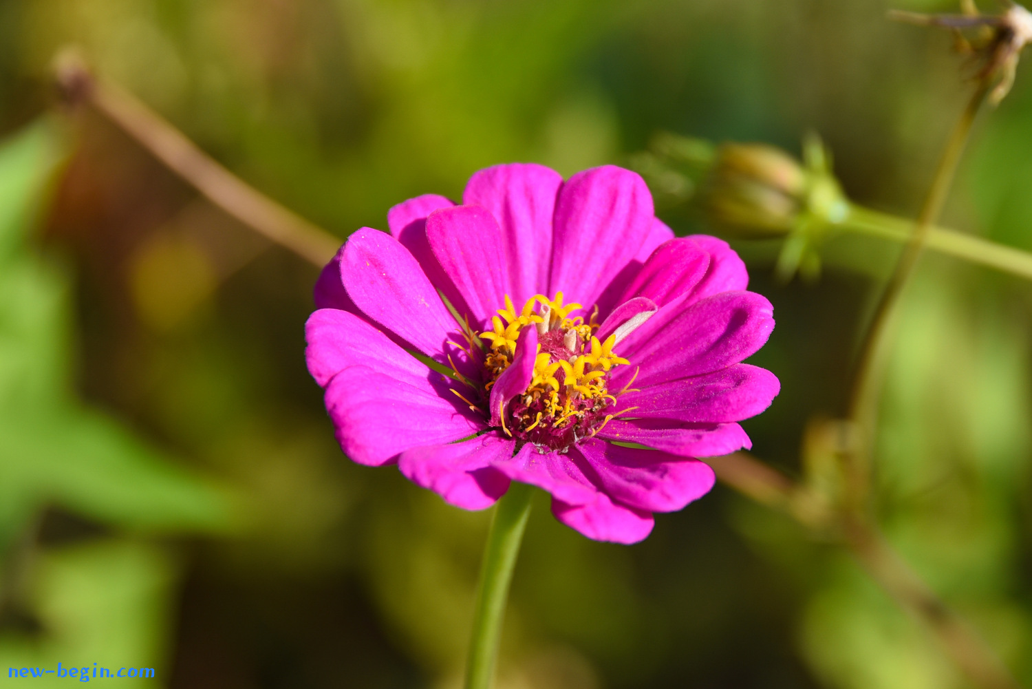 F308AB78-DC62-4D03-9655-1D4BD8D62615.jpeg