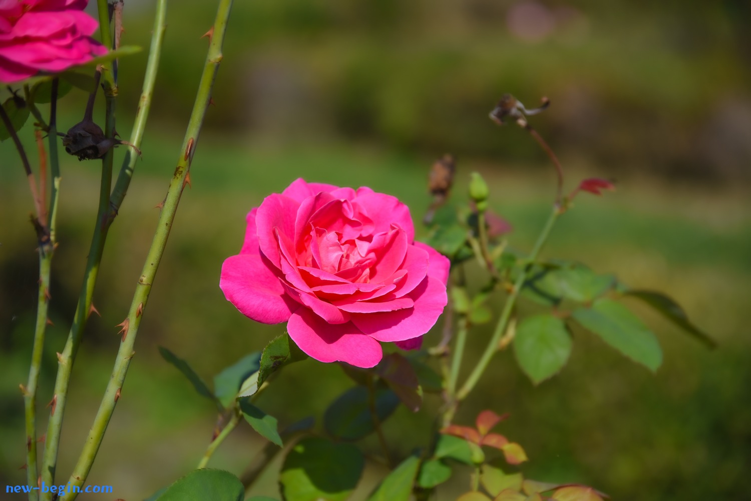 07455F62-7A40-4893-A3CD-ACA3A9DA2E47.jpeg
