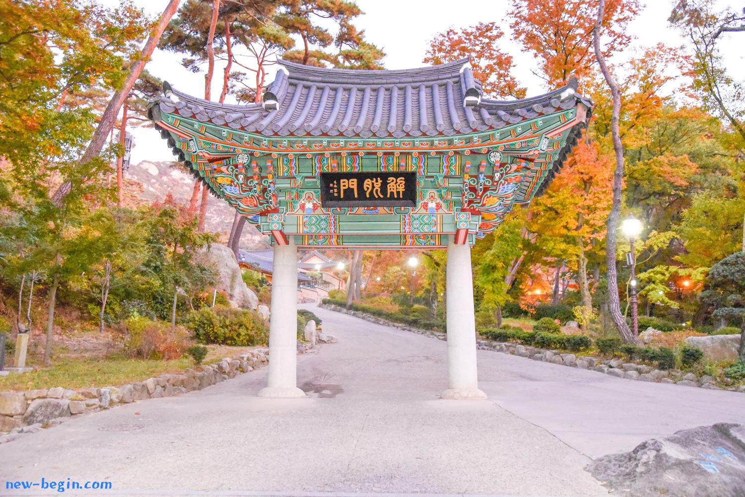 96688320-ADAE-42D6-A7C1-C09C3975D3B1.jpeg
