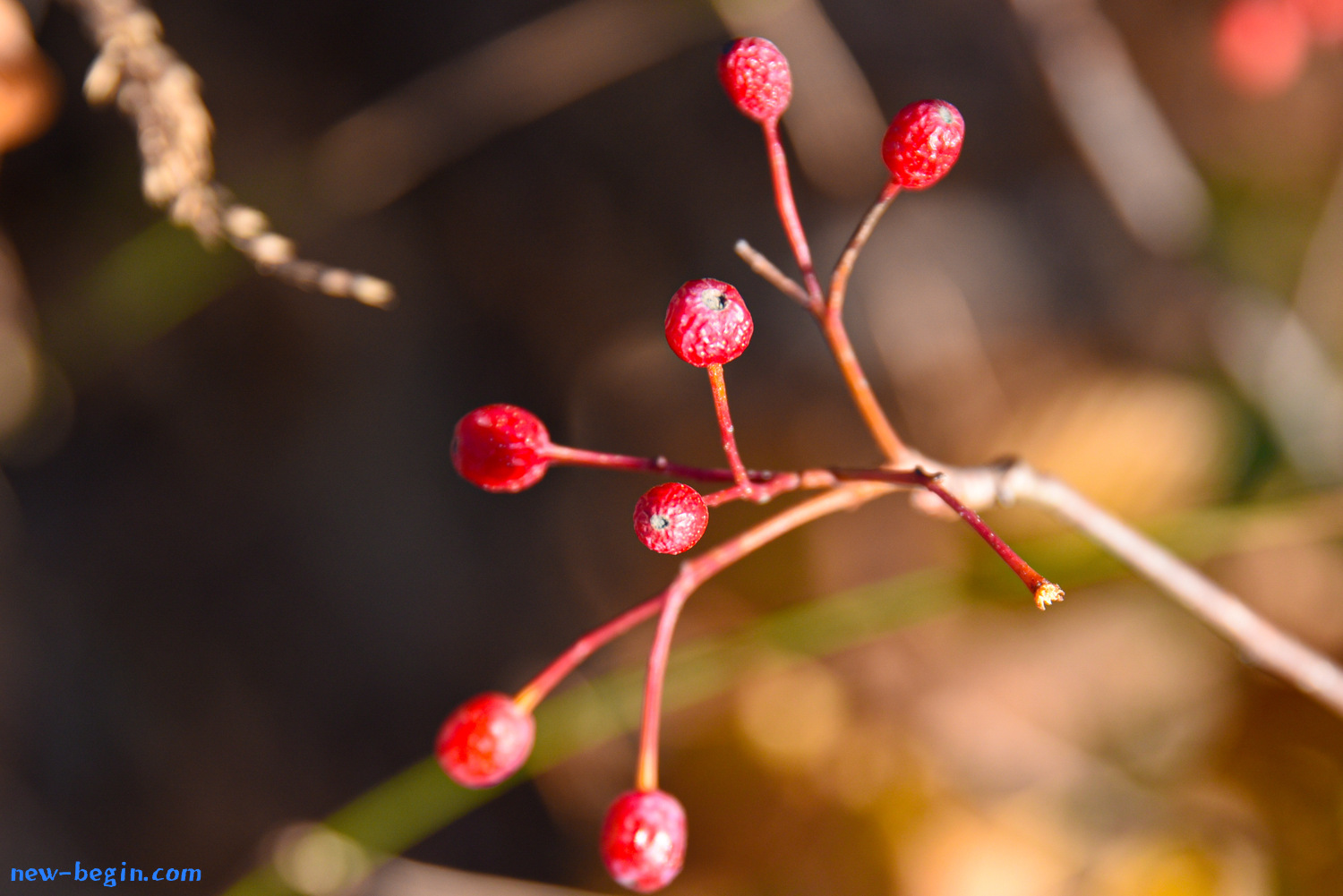 1F96AB54-383C-4C84-87BA-662416B7403D.jpeg