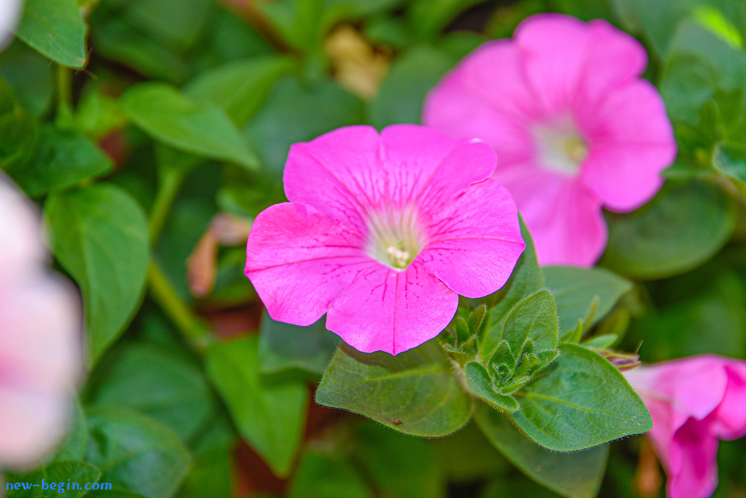 BC9915B4-B7C0-4BFB-9D8B-C553A44F3B27.jpeg