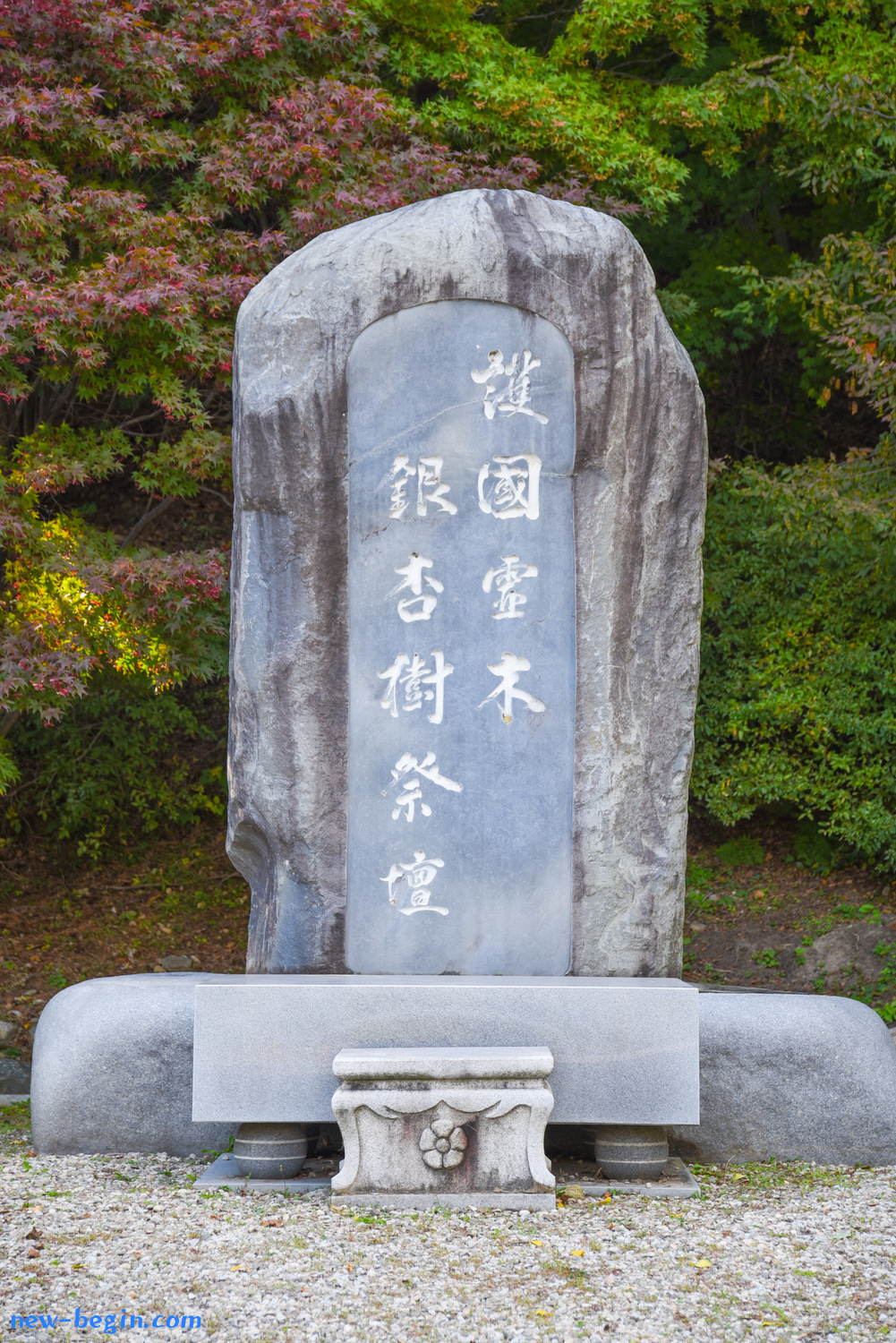 9CD20714-4EBE-483E-8C6D-3EB20C5D481A.jpeg