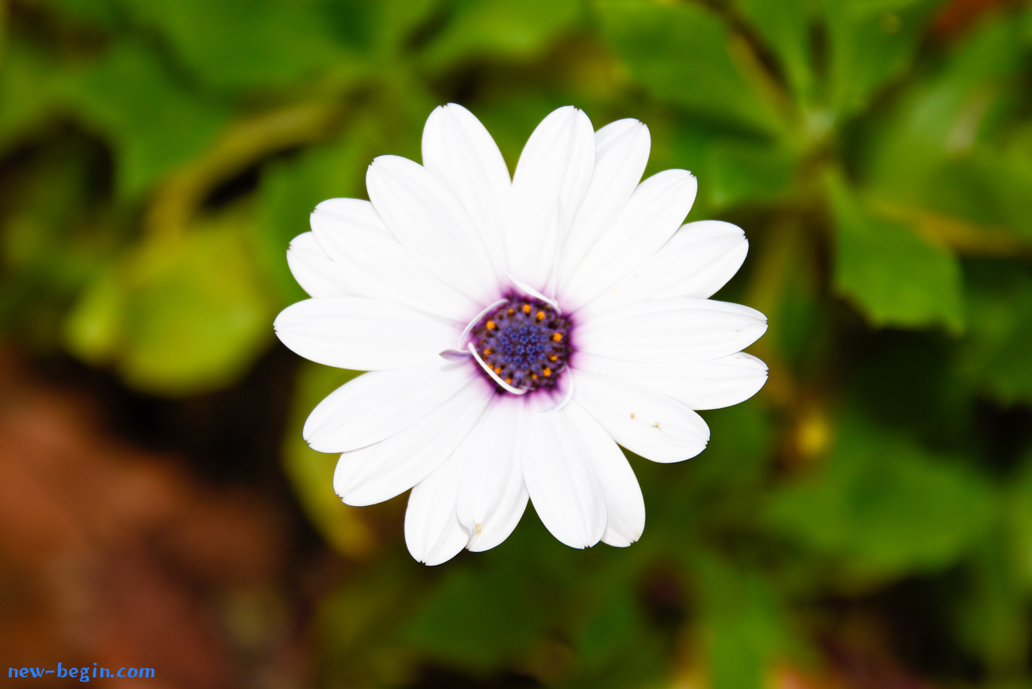 978B8C5F-D3E9-4CF7-A99E-C27241A369B1.jpeg