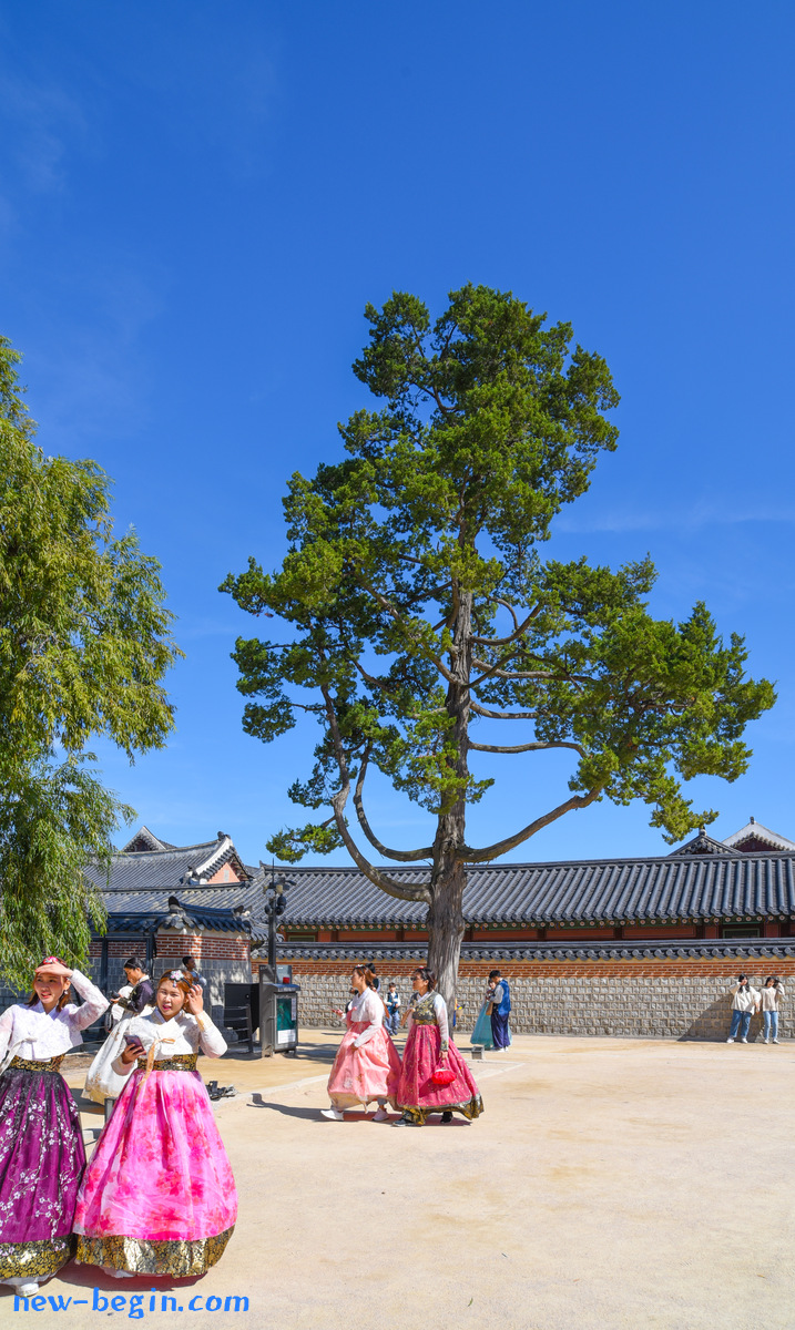 C9560E80-3C79-4205-8F7D-74302088D4B0.jpeg