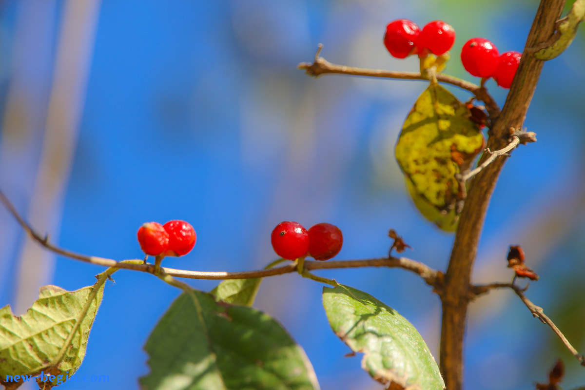 6C128756-D09F-4207-BA95-09AB31F58658.jpeg