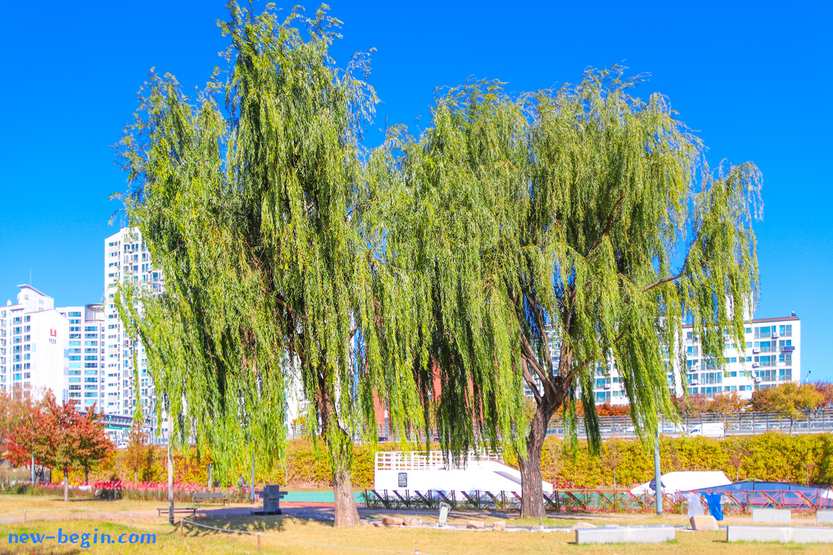 C1487B82-166E-4574-85EA-6E928EF4F28A.jpeg