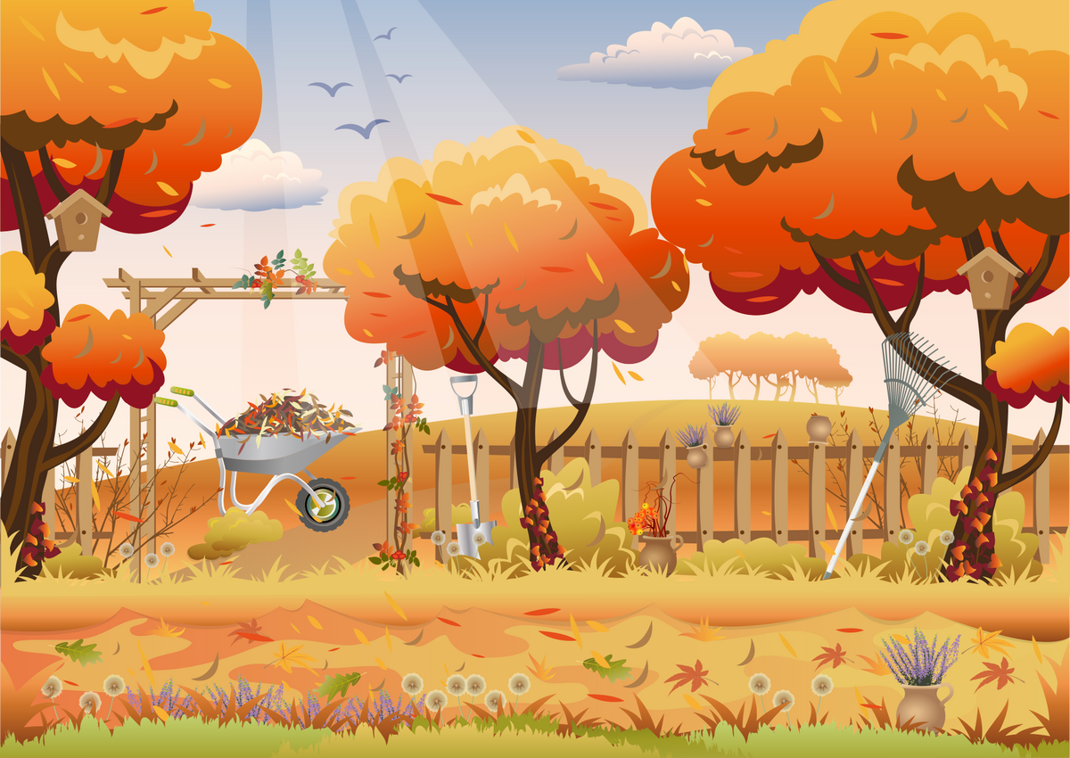 trees-6620586.png