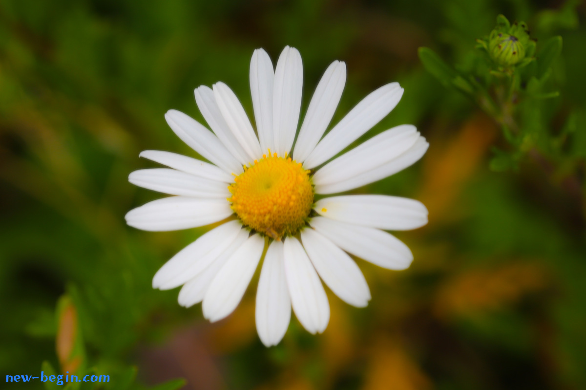 53B4C5EF-2BEA-4A14-9591-4AB275603676.jpeg