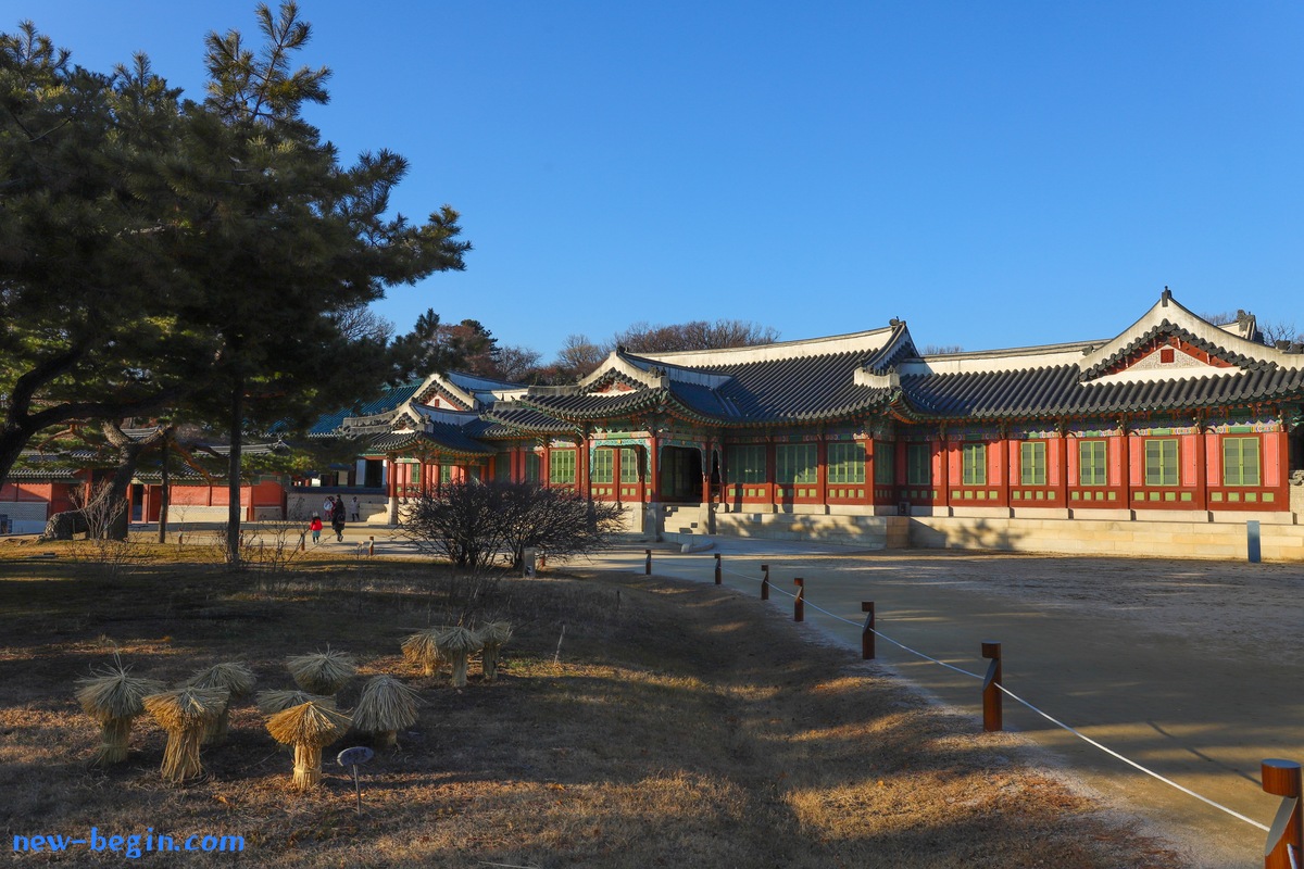 D223BEDB-95B6-4351-A033-D2AB2EAD02E9.jpeg