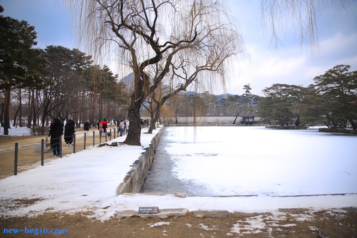 F112DCE6-F4D7-436D-898F-DDB1C5E7019B.jpeg