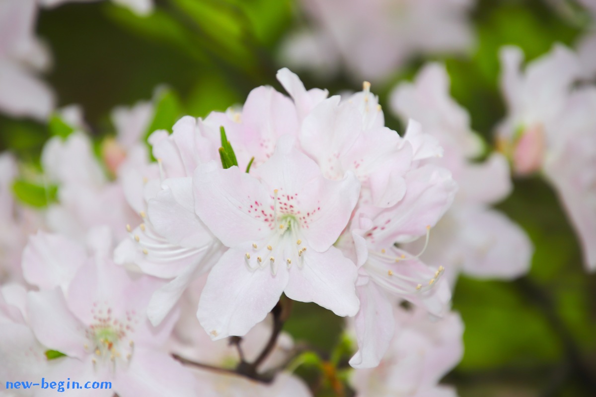 D1372B19-DB4B-4446-AA4C-55423099254C.jpeg
