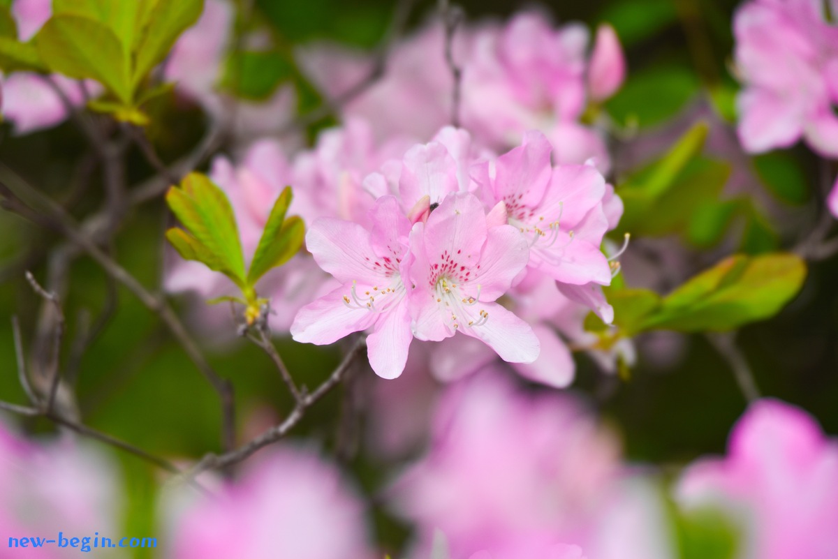 37F167DC-CB15-49F2-B58F-A71A8AAA736D.jpeg