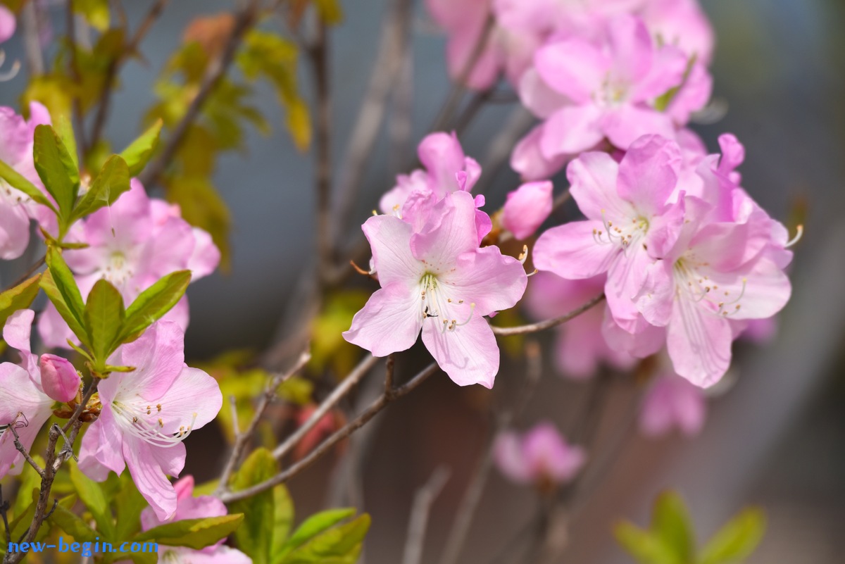 DB08B096-41A9-4353-957F-130BE4D98492.jpeg