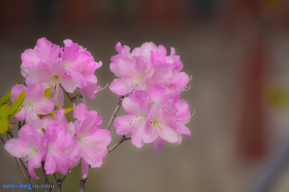 5BB820B0-5A26-405F-9874-D5D7DE5FB2E7.jpeg