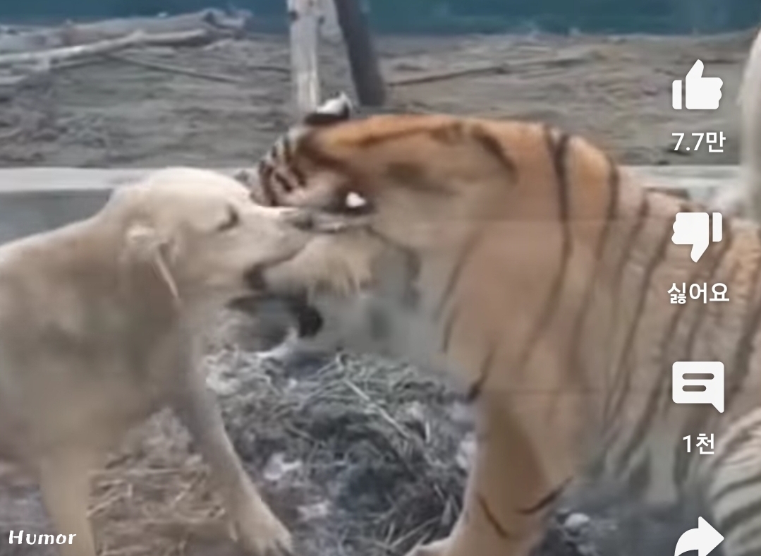 Screenshot_20220707-205433_YouTube.jpg