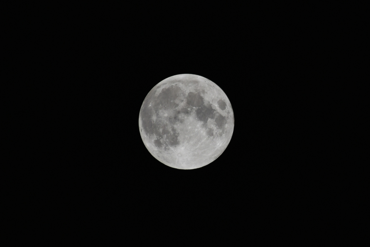 EE208659-436A-44DD-AC9A-6D91A796118C.jpeg.jpg
