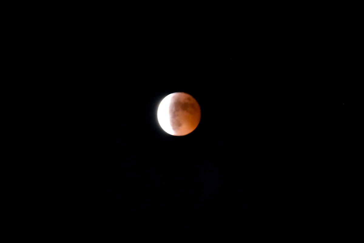 2ED64DFD-1E69-49AD-8F63-2D10C11BBA38.jpeg.jpg