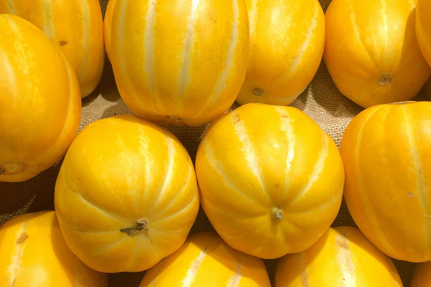 fruit-3370401.jpg