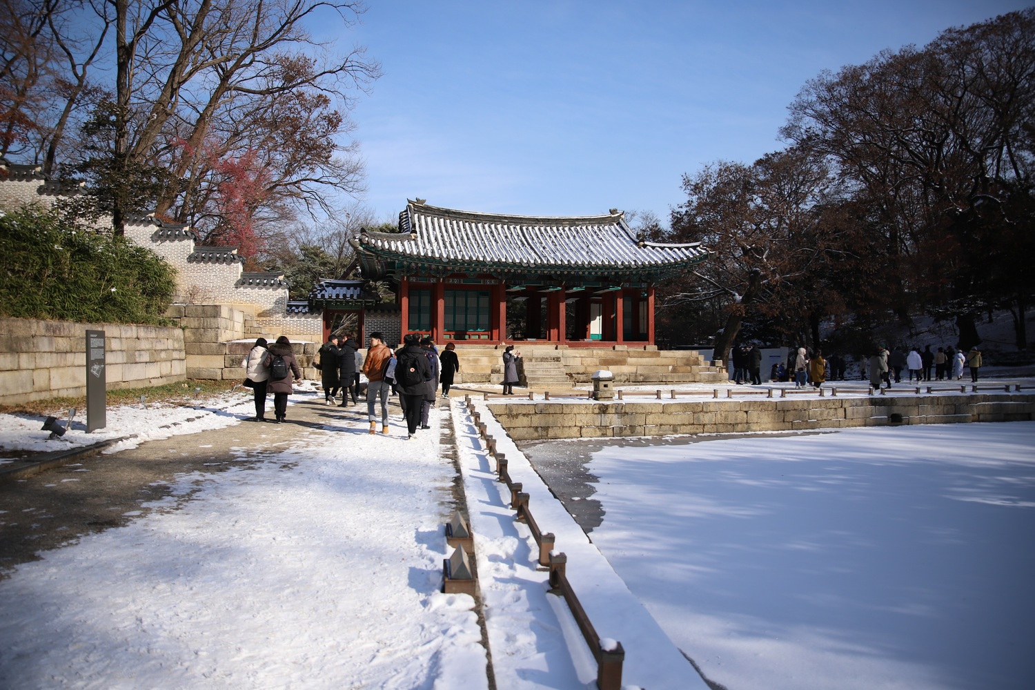 D8490A5A-AD9D-41C7-9EE3-597011E1FF8A.jpeg