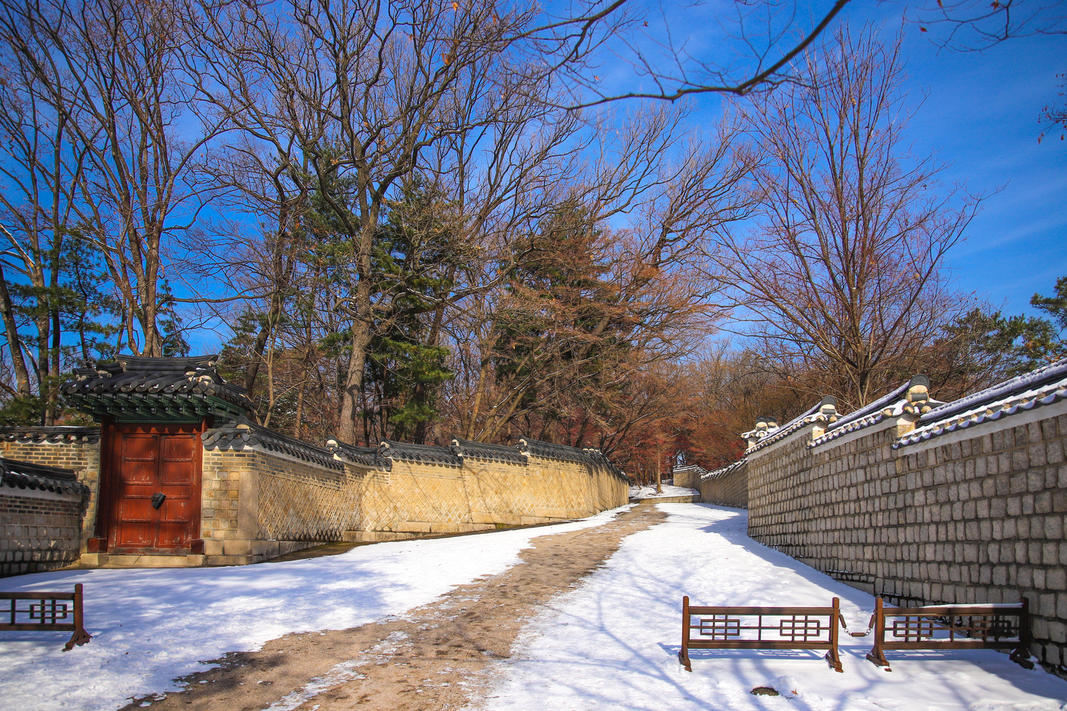 329C0349-6DC2-4949-A738-477B6AE2D15D.jpeg