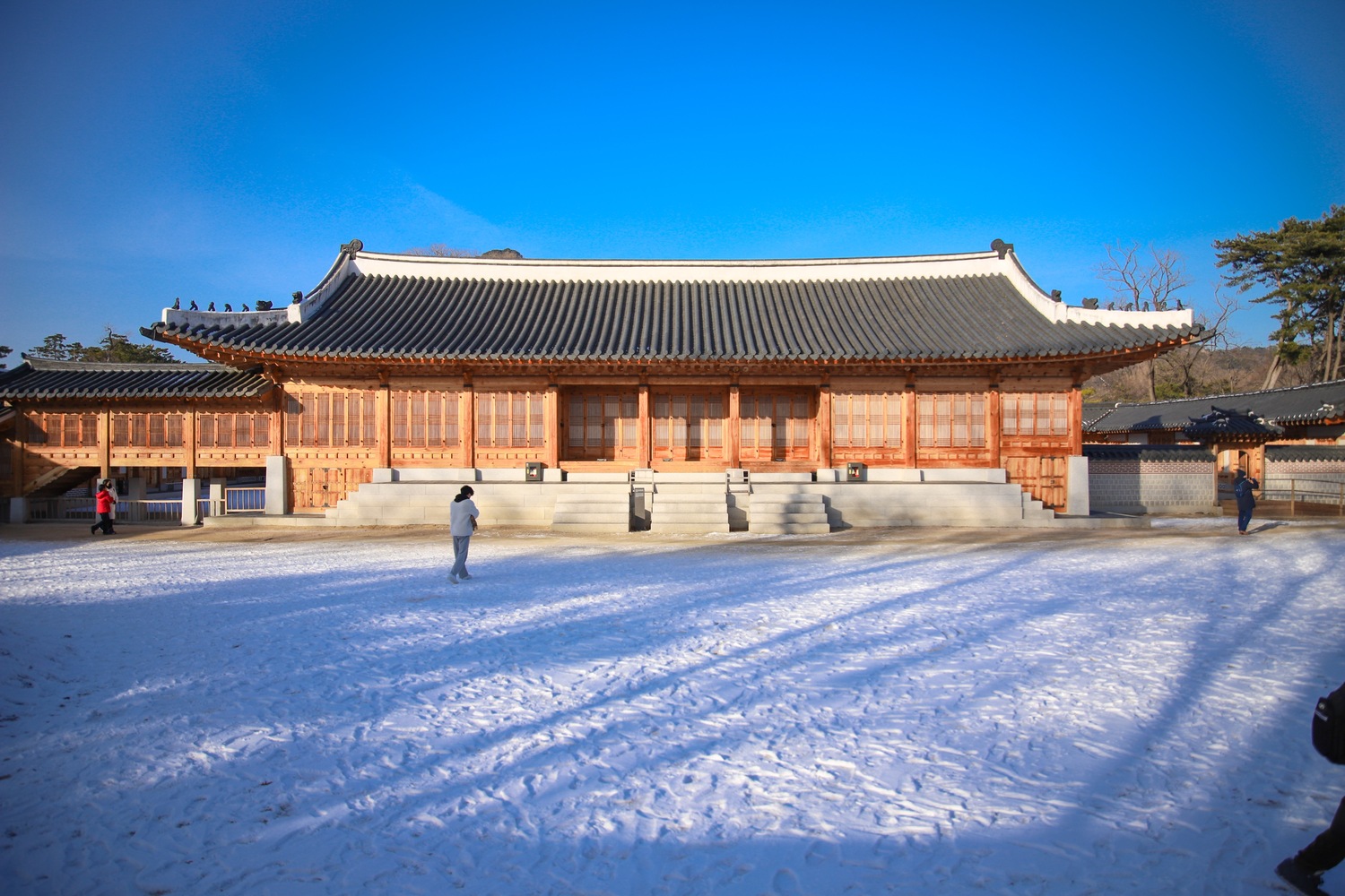 B2DE521C-F50F-4A35-9429-BCE5694D434C.jpeg