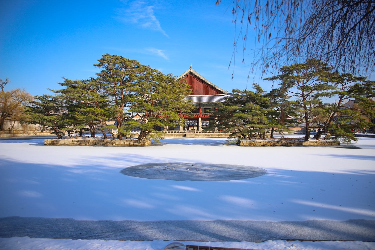 C709101E-B64D-43D7-A69C-0D3012AACFE8.jpeg