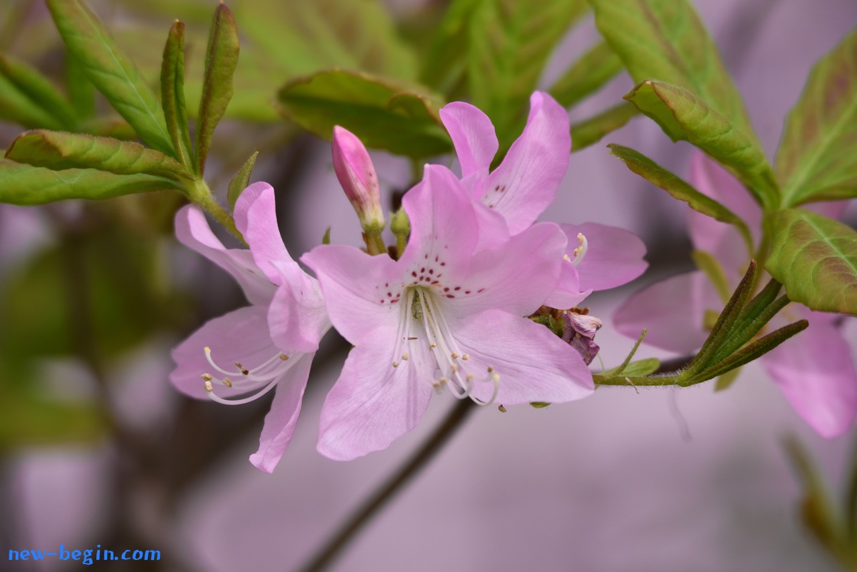 A70584EE-764C-4A1C-AB25-8C7DC0BD0846.jpeg