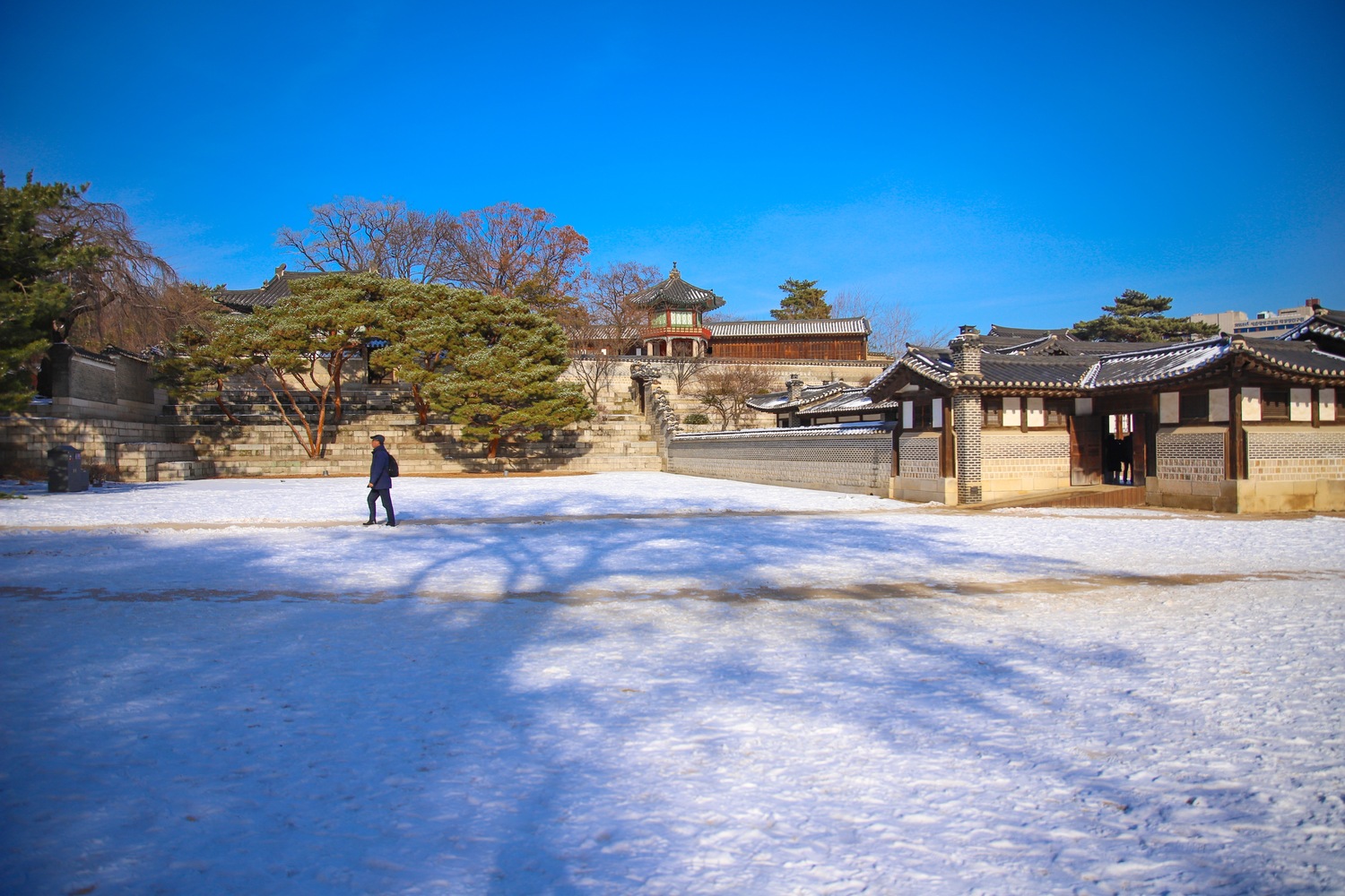 8943CAEA-3E55-486E-9989-D72E39ADBB27.jpeg
