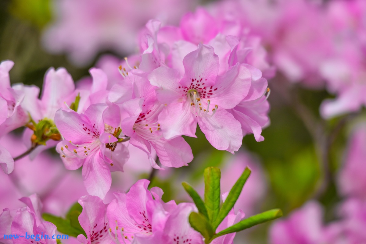 ED622F7A-416B-4EE7-A347-384DB0E14DF0.jpeg