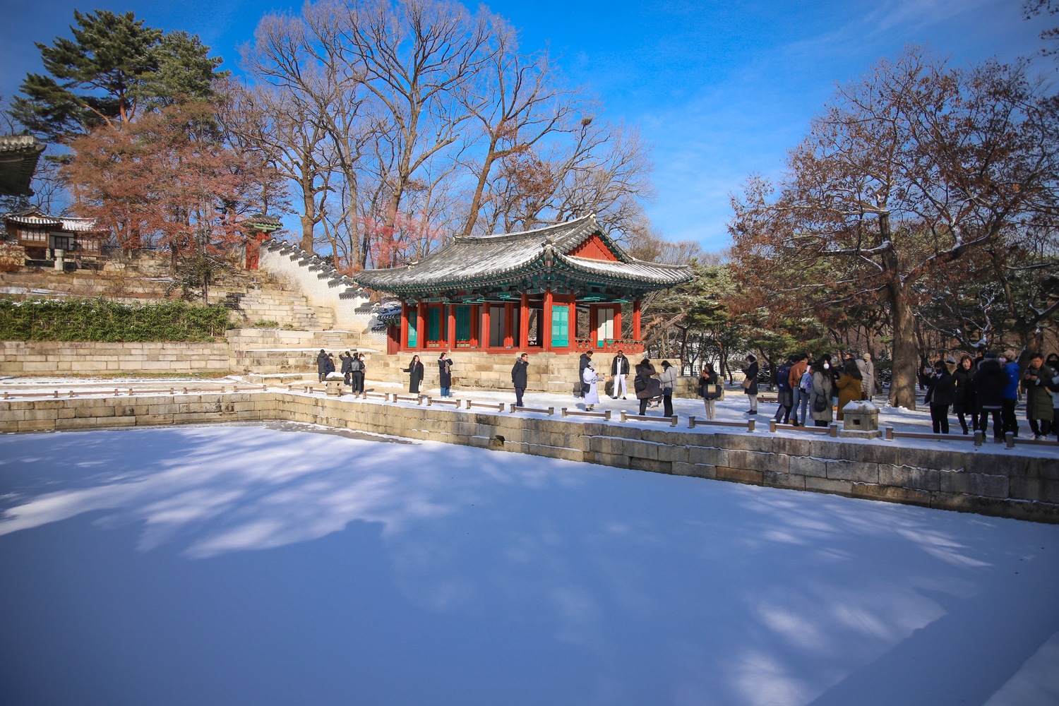 347113AB-8B75-4D3E-A605-A02AA70F971E.jpeg