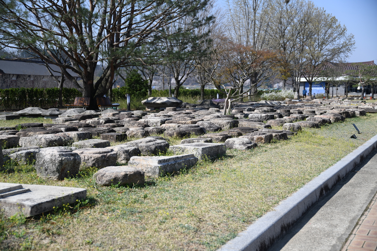 DSC_0157.JPG