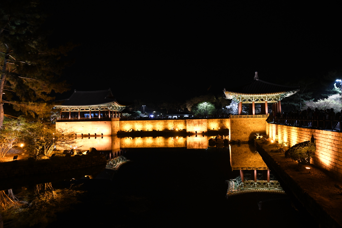 DSC_0529.JPG