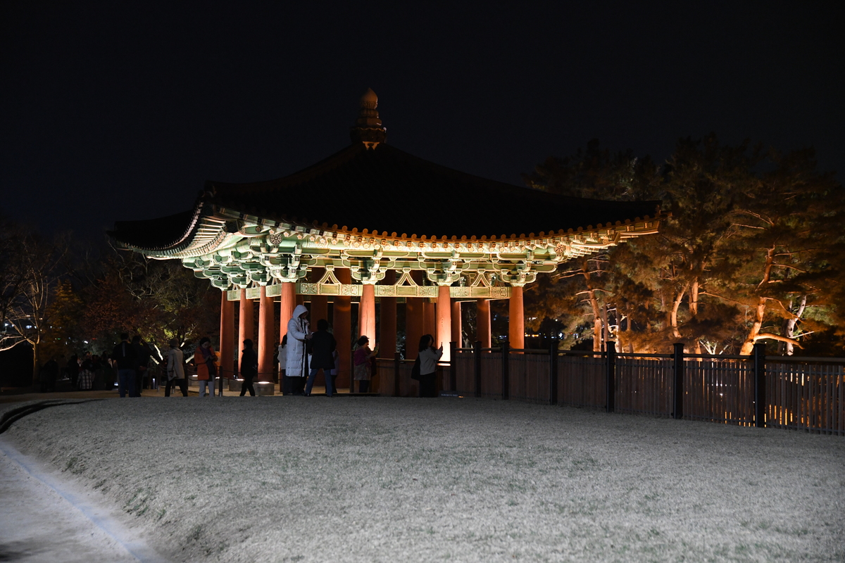 DSC_0520.JPG
