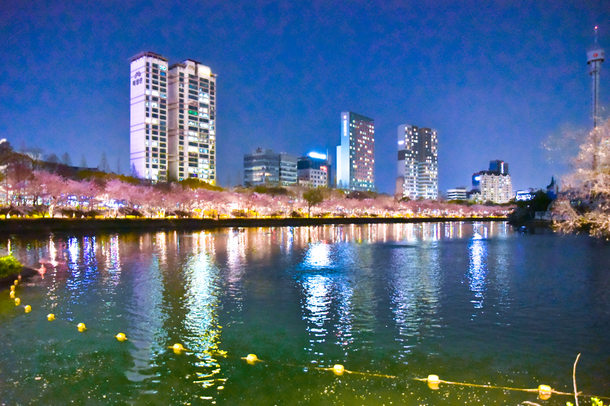 301989888-528.jpg