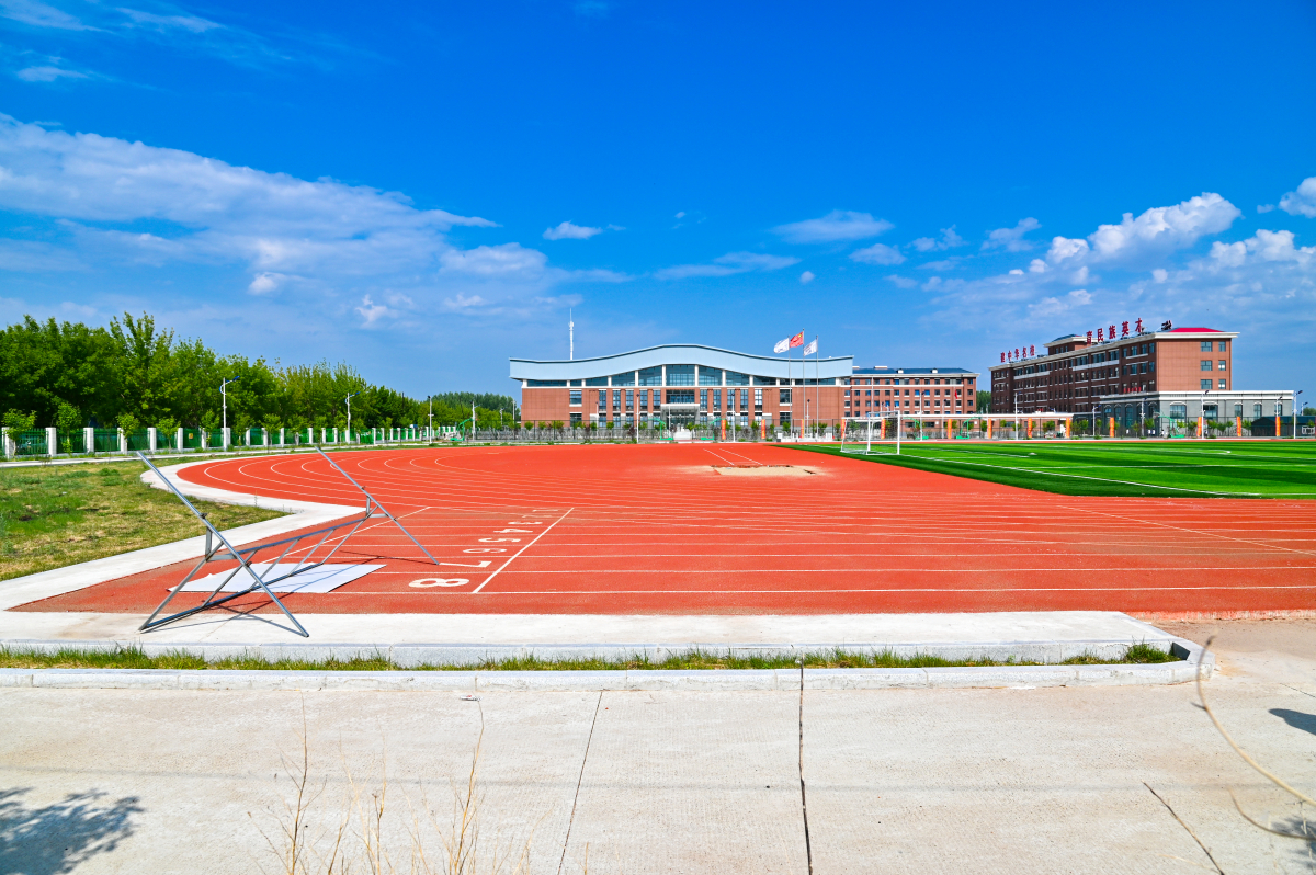 DSC_0470-650.jpg