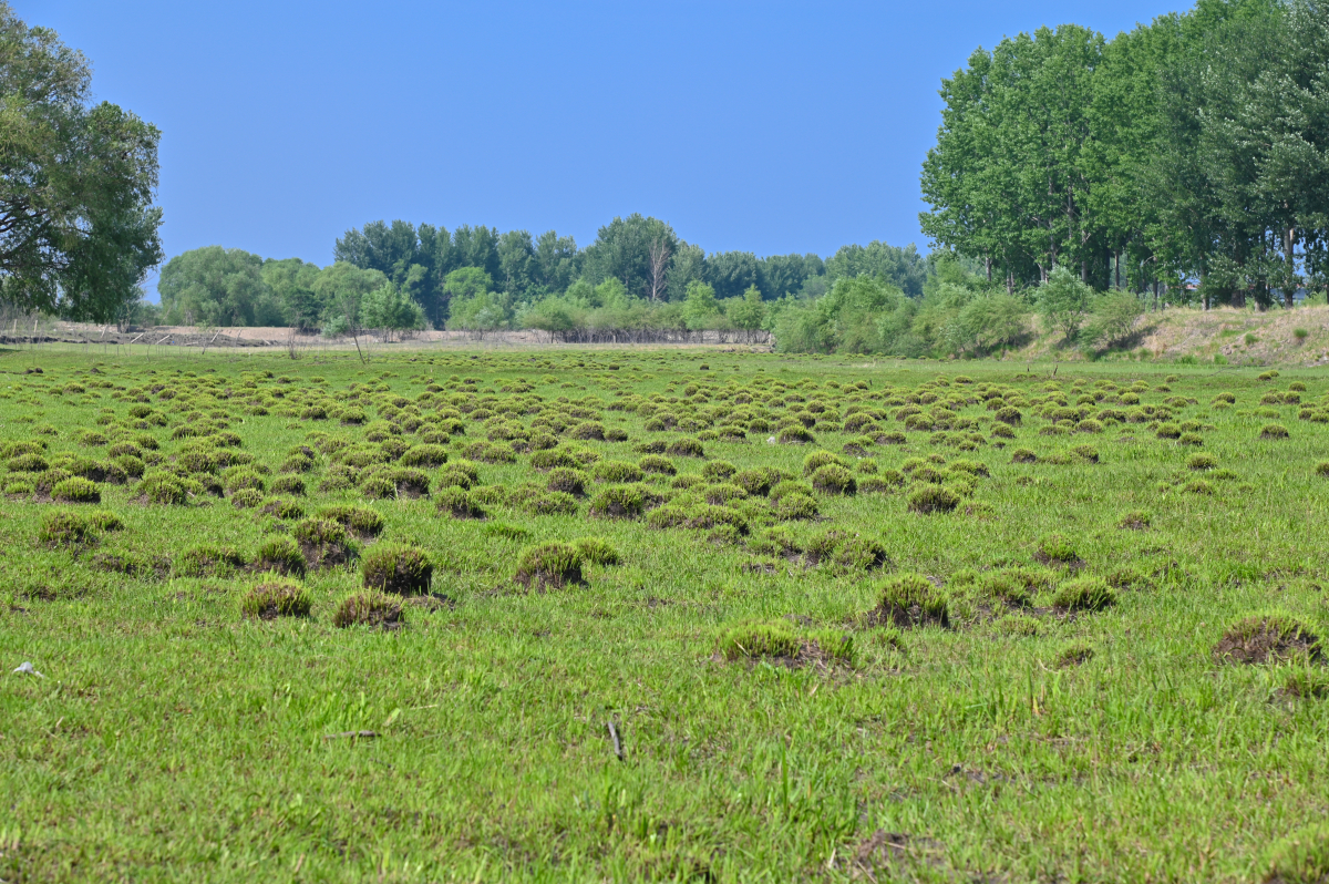 DSC_0761-707.jpg