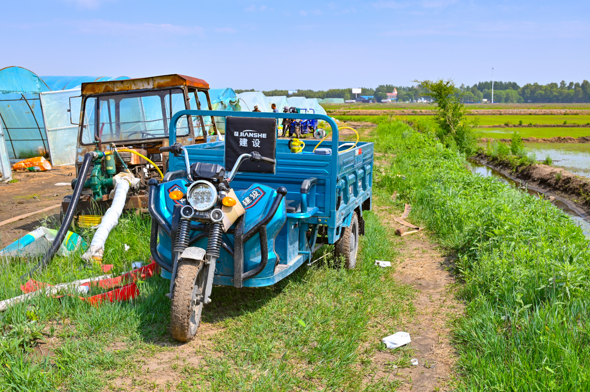 DSC_0544-673.jpg
