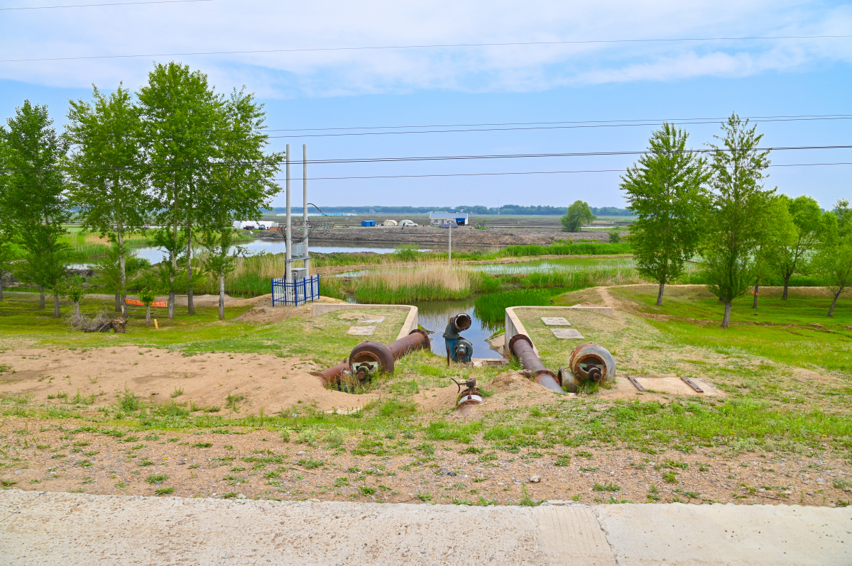 DSC_0563-674.jpg