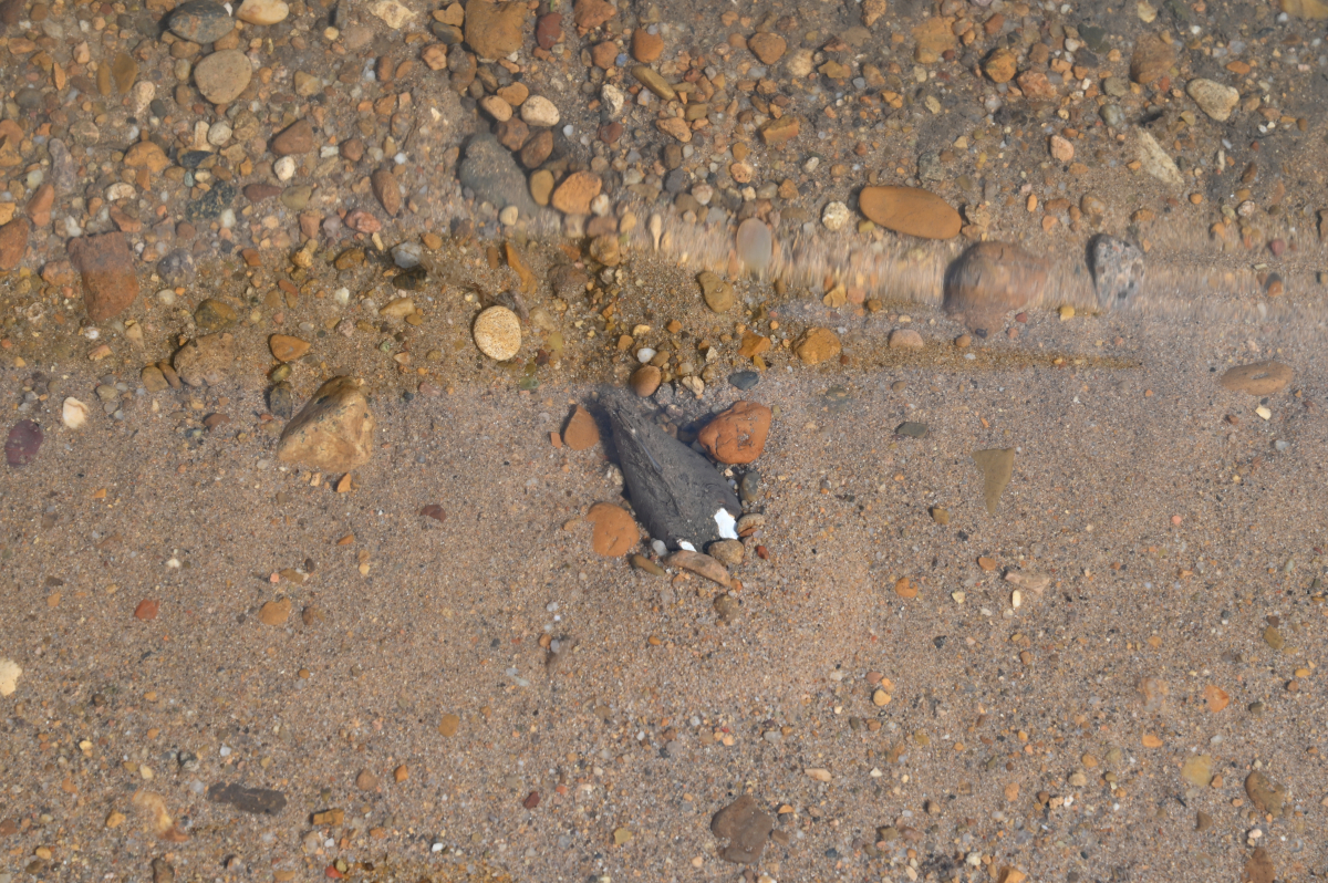 DSC_0711.JPG
