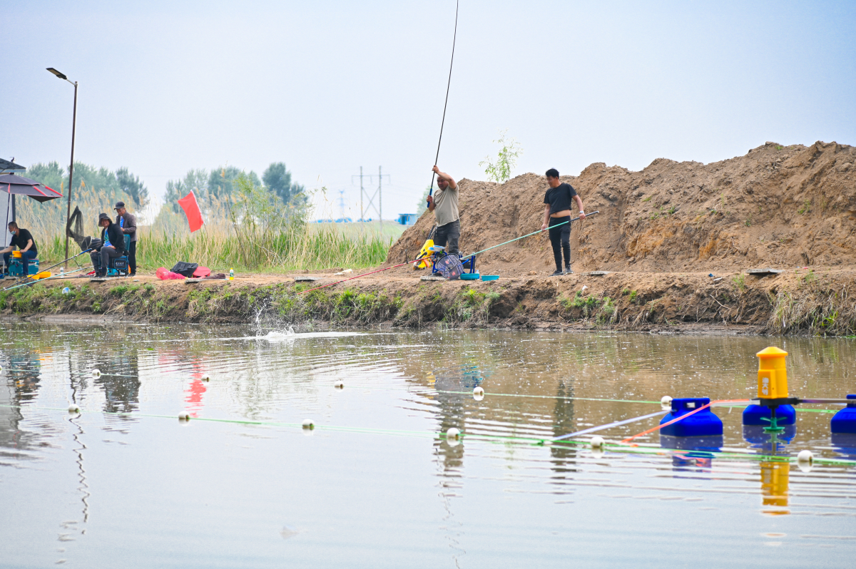 DSC_0633-688.jpg