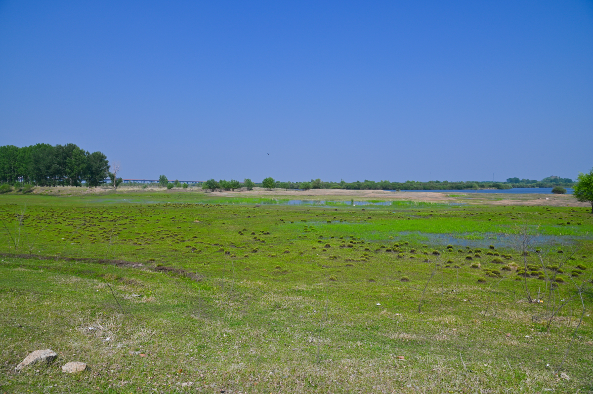 DSC_0758-704.jpg