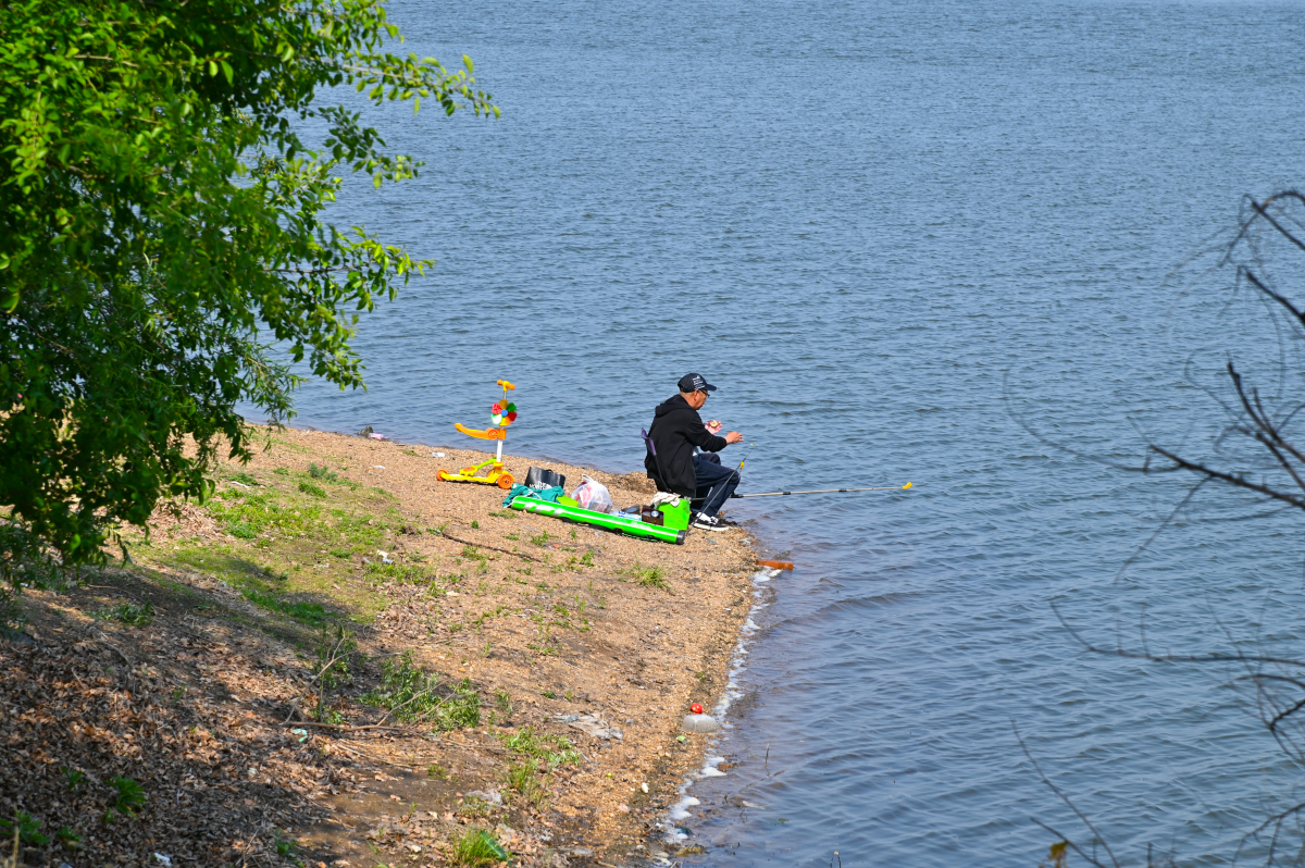 DSC_0756-703.jpg