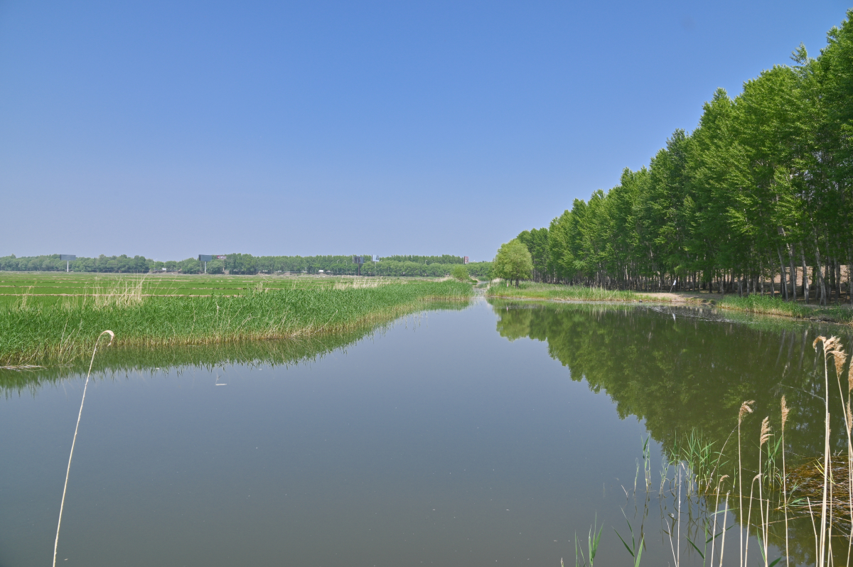 DSC_0675-695.jpg