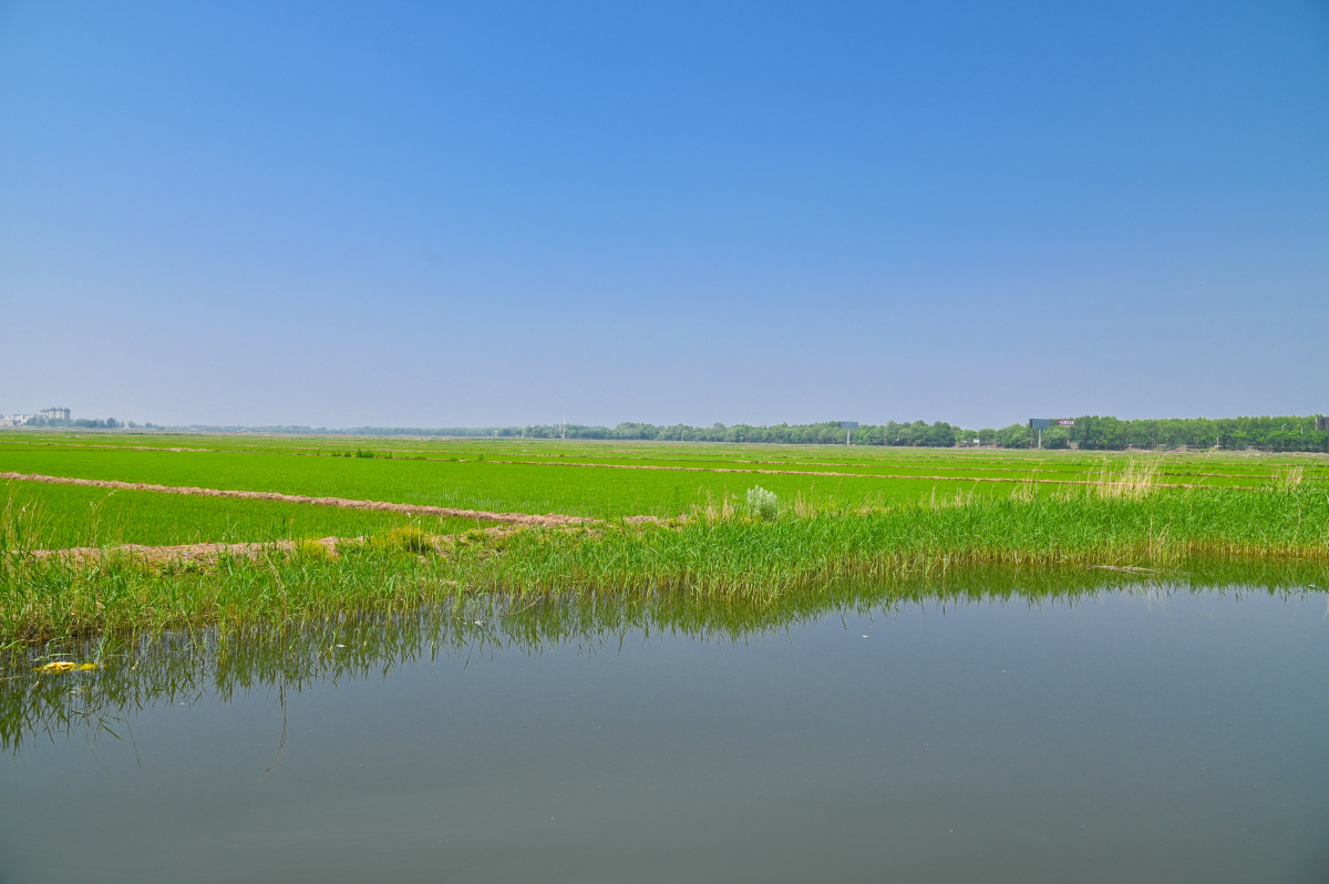 DSC_0674-693.jpg