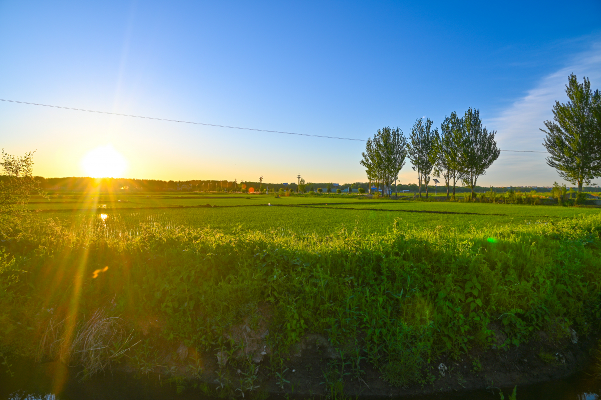 DSC_0980-766.jpg