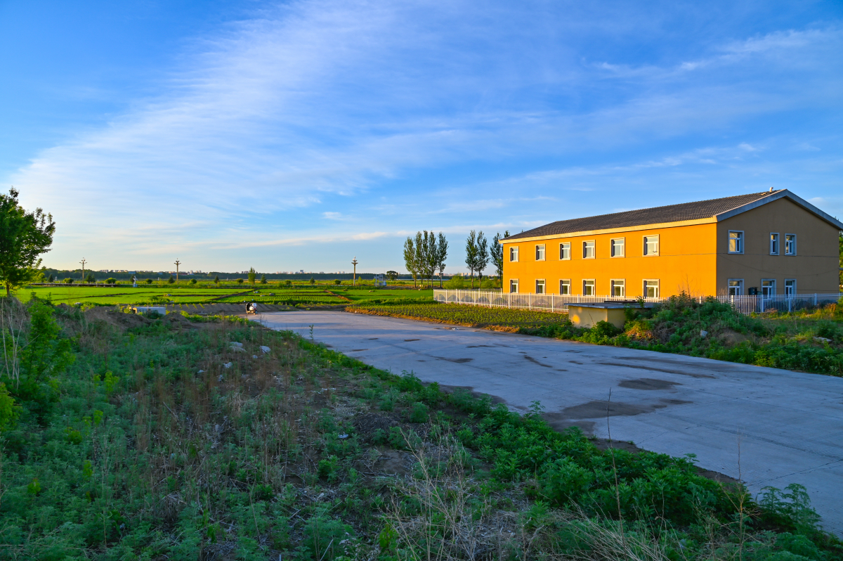 DSC_0984-767.jpg