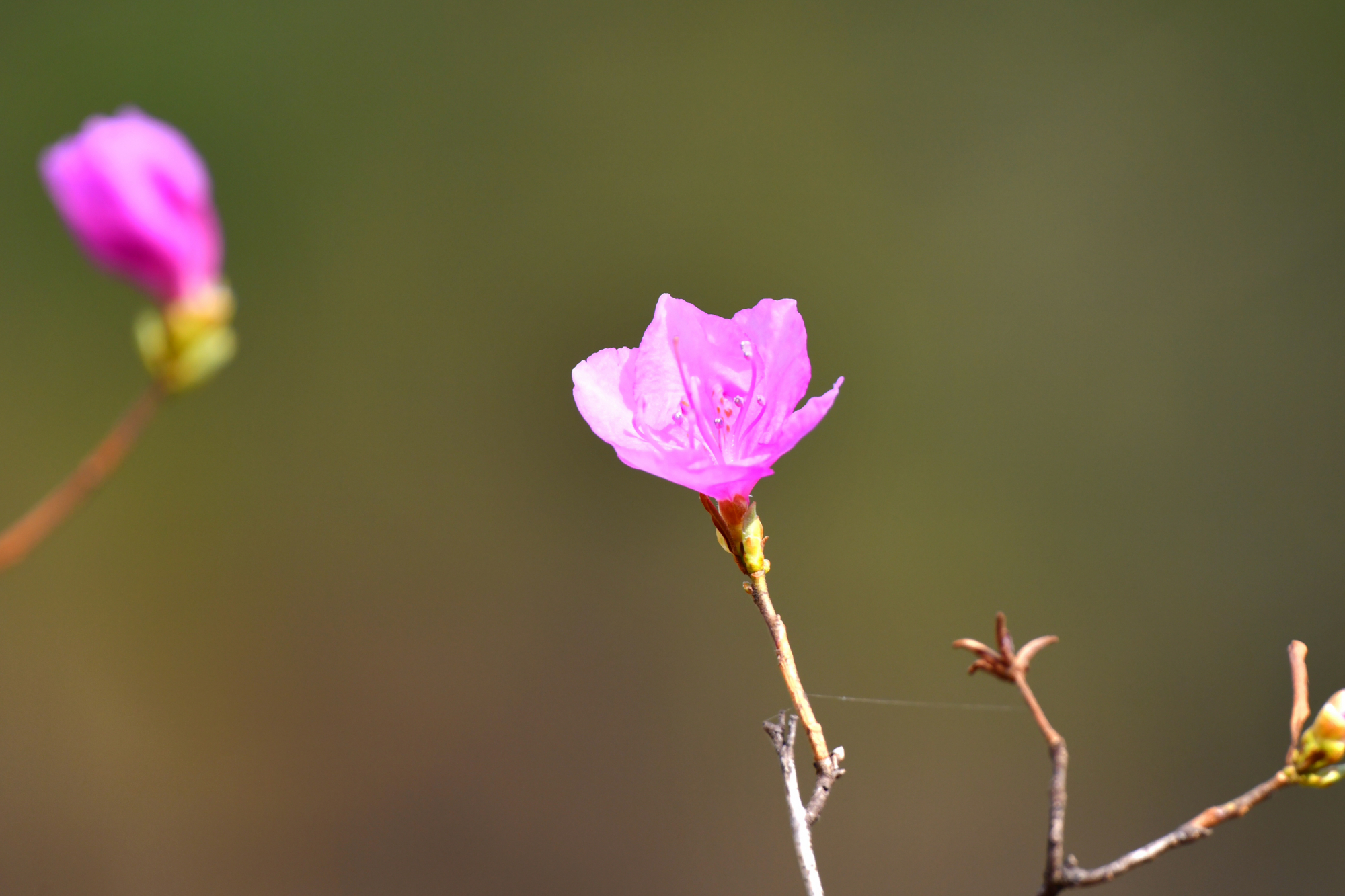 DSC_3719.JPG